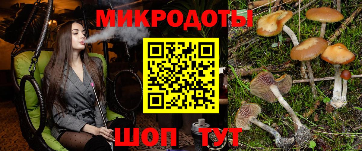 Галлюциногенные грибы Psilocybine cubensis  Вход с VPN  Новоалександровск 