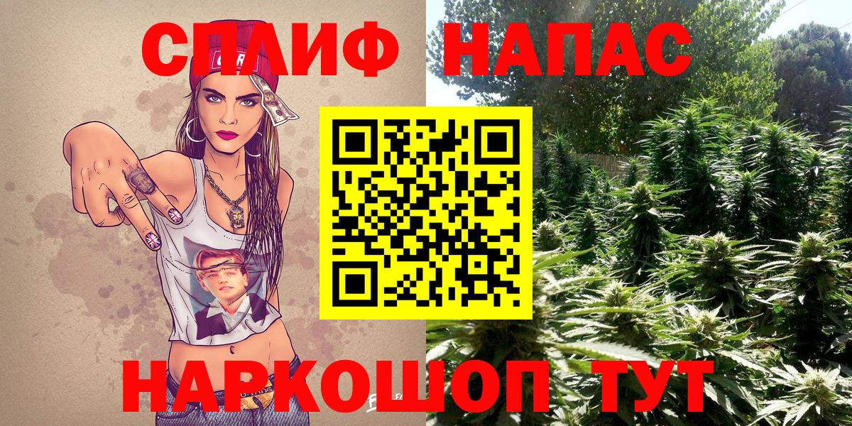 Бошки Шишки марихуана Новоалександровск